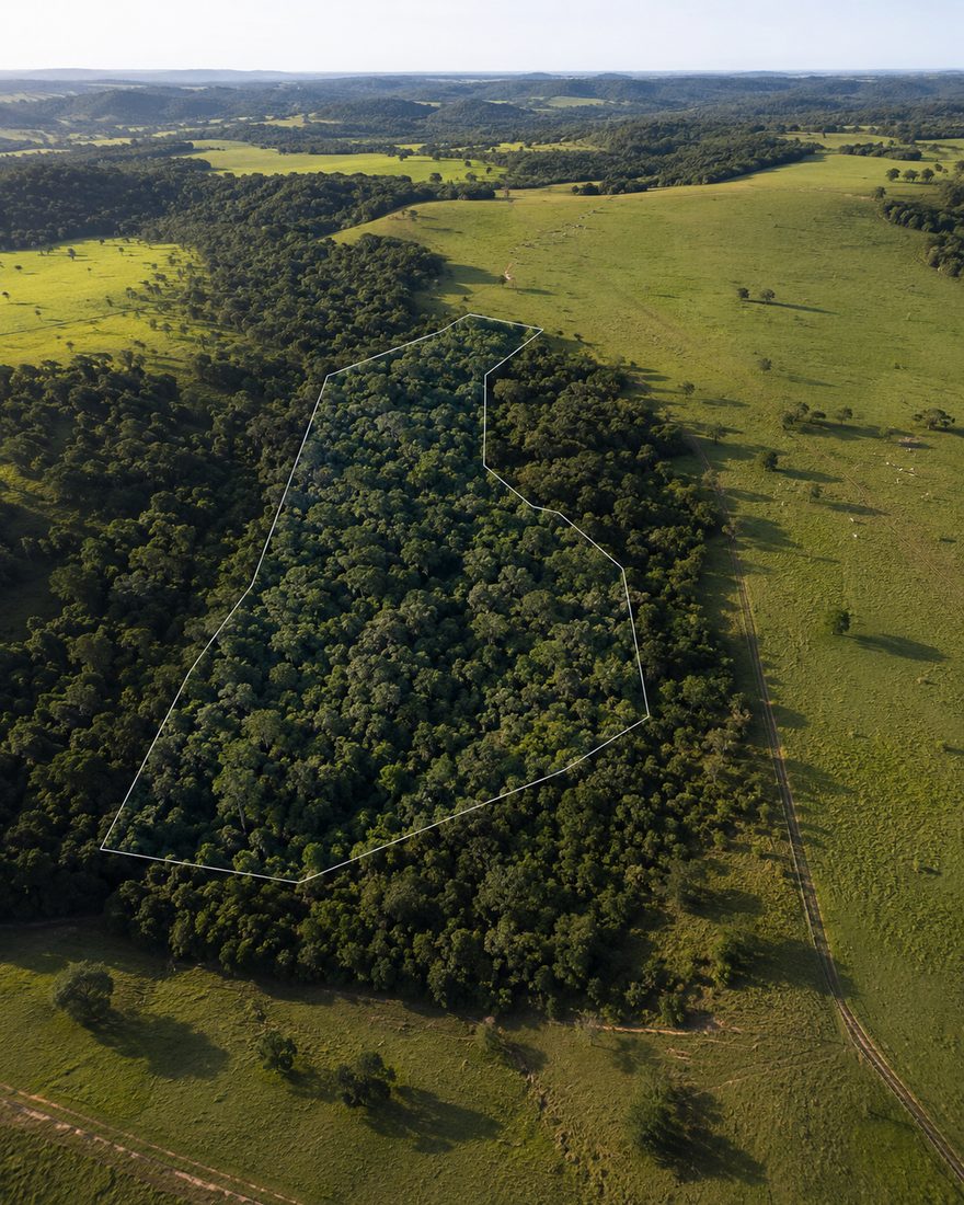 Área de Reserva Legal em propriedade rural